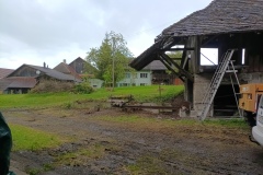 IMG_20250425_171352_233