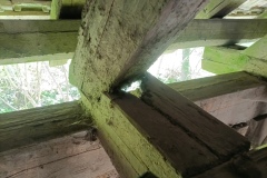 IMG_20250428_162953_985