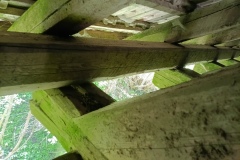 IMG_20250428_163107_064