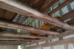 IMG_20250429_153950_848