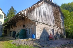 IMG_20250429_171501_031