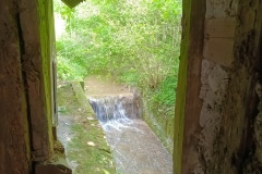 IMG_20250509_163743_734