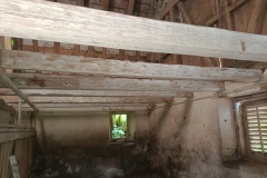 IMG_20250526_174127_681