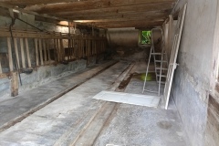 IMG_20250607_161942_146