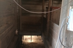 IMG_20250607_162138_726