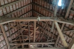 IMG_20250610_171452_292