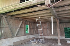 IMG_20250612_170500_728