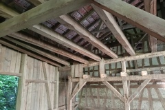 IMG_20250612_170546_768