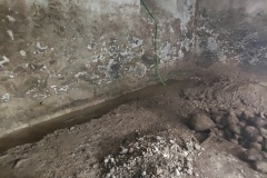 IMG_20250624_161620_537