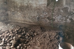 IMG_20250624_161643_857