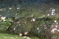 IMG_20250628_165057_851