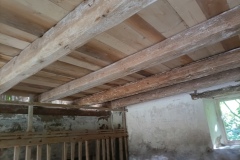 IMG_20250711_164850_805